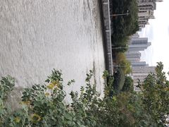 -苏州河梦清园环保主题公园