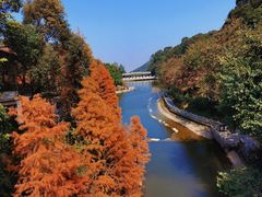 -广州市帽峰山景区