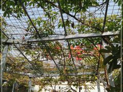 -伊隆斋(什刹海店)