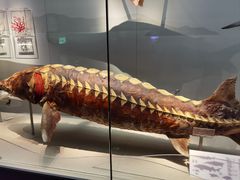-浙江自然博物院(杭州馆)