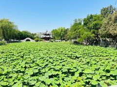 -莲池书院博物馆