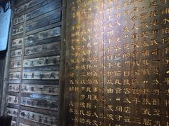 -张醪糟