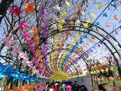 -杭州湾海上花田景区