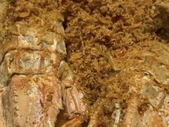 -强记海鲜·大排档(蛇口新街店)