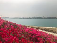 -露天矿生态公园