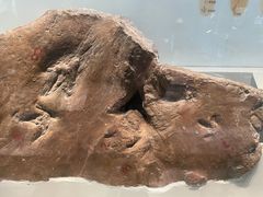 -湖南省地质博物馆