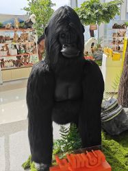 -IMON·HANSA潮玩玩偶毛绒玩具(通州万象汇店)