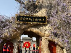 -大槐树寻根祭祖园