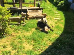 -大连森林动物园