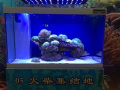 -佛山科学馆