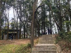 公共卫生间-阳台山森林公园