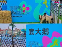 -海合安天津极地海洋公园