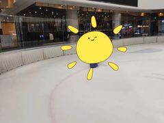 -TheRink大零溜冰场(IFS国金中心店)