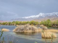 -千姿湖生态旅游景区