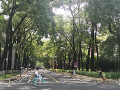 -四川大学(望江校区)