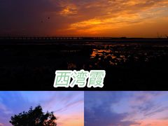 -宝安西湾红树林湿地公园