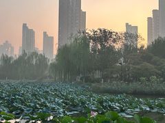 -南翠屏公园