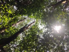 -火炉山森林公园