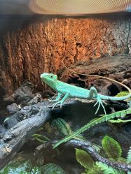 -酷嗒动物文化乐园(cutezoo西溪乐天城店)