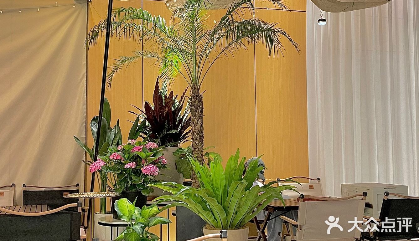 筑花园网红宝藏咖啡店[加油]