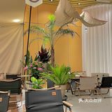 筑花园网红宝藏咖啡店[加油]