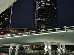 -演武大桥观景平台