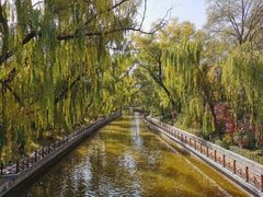 -迎泽公园
