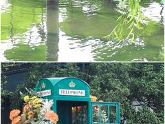 -金鸡湖桃花岛