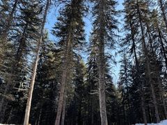 -硗碛藏寨·神木垒景区