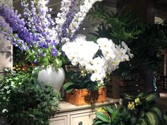 -春暖花开(西溪店)