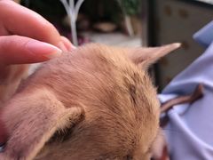 -明月山庄私房菜(环海东路店)