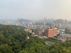 -福道