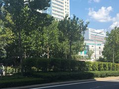 -山东大学齐鲁医院(青岛院区)