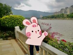 -光明港公园