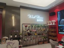 -云南吴氏嘉美医疗美容医院