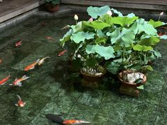 -惠食佳(滨江大公馆店)