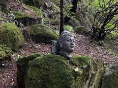 -王顺山国家森林公园
