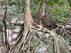 -七仙岭温泉国家森林公园