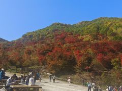 -龙道沟景区