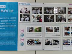 -北京观赏动物医院·24小时大型综合·猫专科·异宠专科