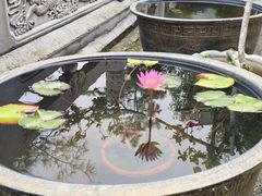 -萨尔浒风景区