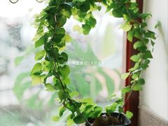 -SANYAY叁言咖啡巧克力