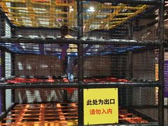 -Tenker Club弹刻极限主题公园 · 蹦床 · 团建 · 生日派对(大关店)