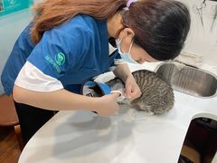 -瑞派动物医院·绝育·犬猫全科·预防医学(光景江南中店)