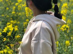 -田园东方蜜桃村的田野营地