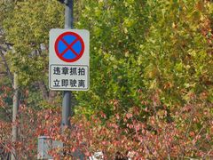-庐州太太(南七里店)