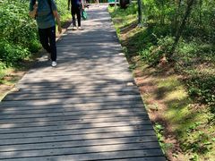 -帽儿山国家森林公园