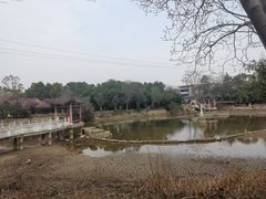 -青龙山国家森林公园