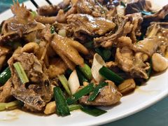 -生态苑农庄(十里画廊遇龙河店)