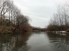 -溱湖国家湿地公园